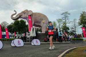 BIB: 
                            <button type="button" onclick="openModal(26528905)" class="btn btn-primary btn-sm float-right btn-popup" data-toggle="modal" data-target=".modal-high-quality">
                        <i class="fas fa-shopping-cart"></i> Add to Cart
                    </button>
                                            <button type="button" onclick="isThisMe(26528905, true)" class="btn btn-success btn-sm float-right btn-popup btn-isme hidden" data-toggle="tooltip" data-placement="bottom" title="นี่คือรูปของคุณใช่ไหม คลิกที่นี่เพื่อเอาเข้าอัลบั้ม">
                        <i class="fas fa-plus"></i> Add to album
                    </button>
                    <button type="button" onclick="isThisMe(26528905, false)" class="btn btn-warning btn-sm float-right btn-popup btn-isnotme hidden">
                        <i class="fas fa-ban"></i> Remove from album
                    </button>